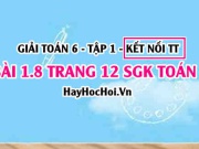 Bài 1.8 SGK Toán 6 tập 1 Kết nối tri thức